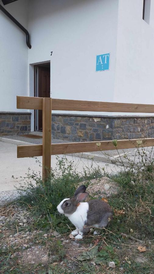 Casa Cotefablo Alojamiento Sorrosal Gavin Biescas Exterior foto